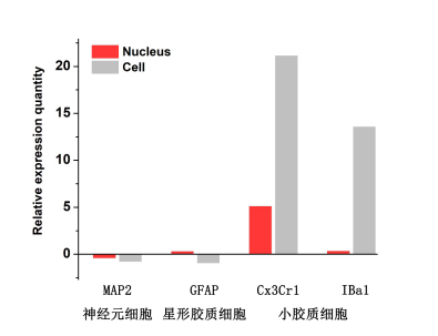 yd7610云顶生物单细胞核转录组测序数据图 5